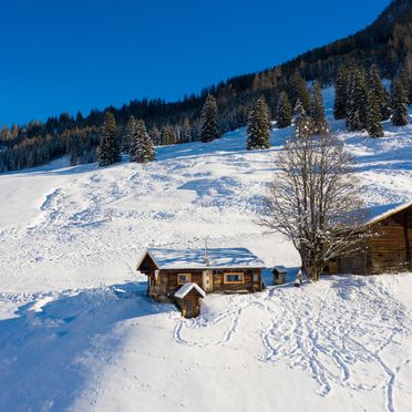 Winter, Hungarhub Hütte, Großarl, Salzburg, Salzburg, Österreich