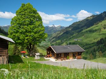 Hungarhub Hütte - Salzburg - Österreich