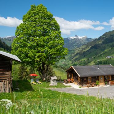 Sommer, Hungarhub Hütte, Großarl, Salzburg, Salzburg, Österreich