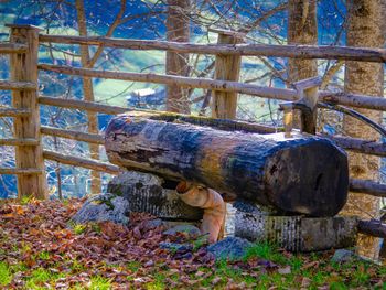 Grasreithütte - Salzburg - Austria