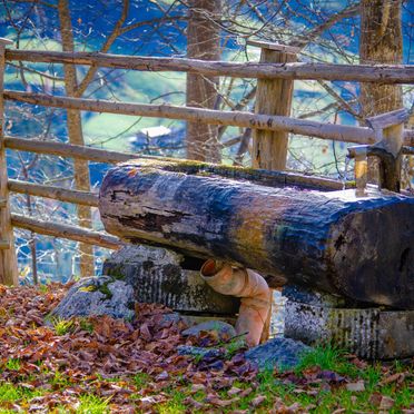 Herbst, Grasreithütte, Großarl, Salzburg, Salzburg, Österreich