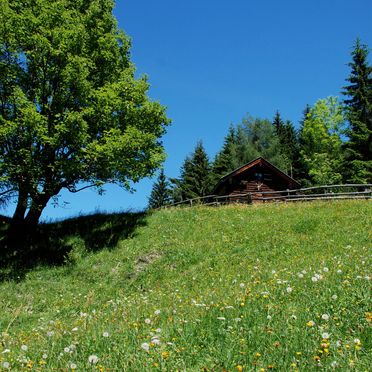 Sommer, Karblickhütte, Bucheben, Salzburg, Salzburg, Österreich