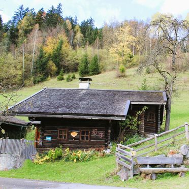 Sommer, Zetzenberghütte, Werfen, Salzburg, Salzburg, Österreich