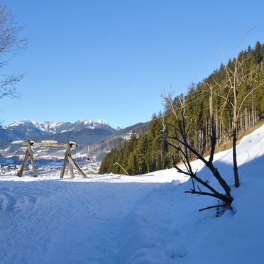 Surroundings, Leitnalm, Eben im Pongau, Salzburg, Salzburg, Austria