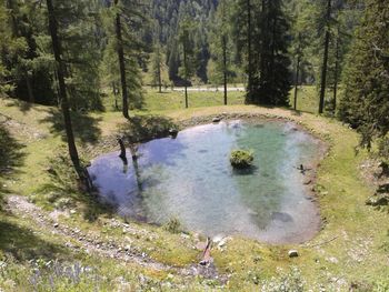 Vordergottschallalm - Salzburg - Österreich