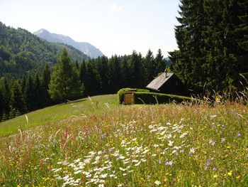 Jagastube - Oberösterreich - Österreich