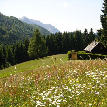 Sommer Aussicht, Jagastube, Neukirchen, Oberösterreich, Oberösterreich, Österreich