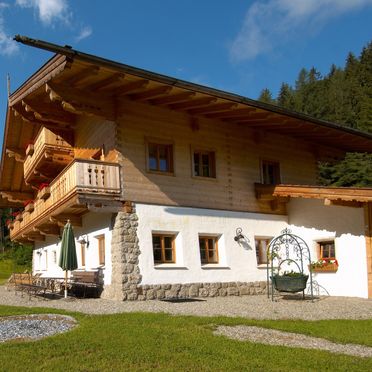 Seitenansicht, Chalet Kleinbretteneben, Großarl, Salzburg, Salzburg, Österreich