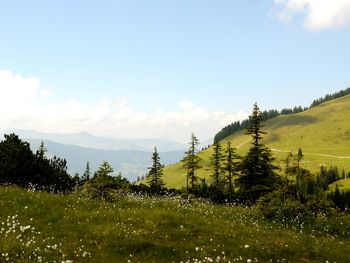 Chalet Brechhorn Landhaus - Tirol - Österreich