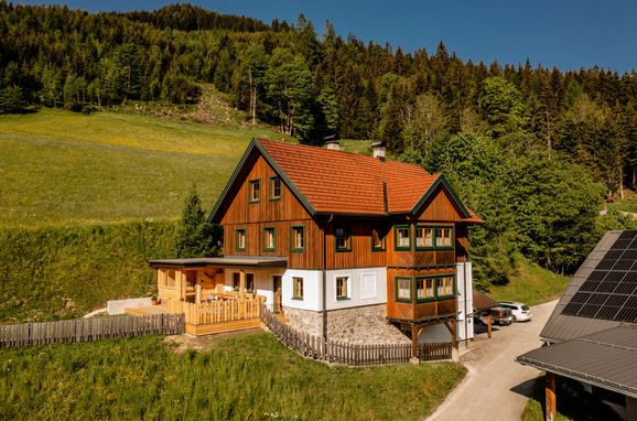 Sommer, Druckfeichter Hütte, Pruggern, Steiermark, Steiermark, Österreich