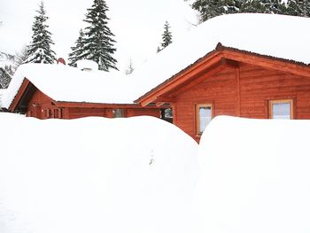Alpine-Lodges Gertraud - Kärnten - Österreich