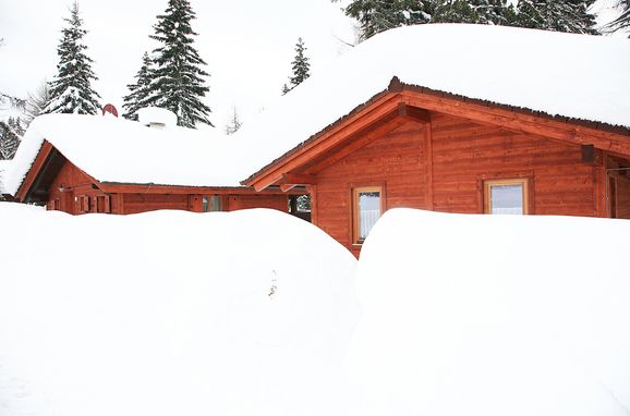 Rueckansicht1, Alpine-Lodges Gertraud, Arriach, Kärnten, Kärnten, Österreich