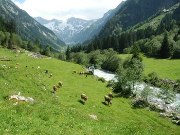 Ferienhaus Stillupp - Tirol - Österreich