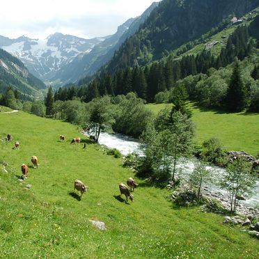 , Ferienhaus Stillupp, Mayrhofen, Tirol, Tyrol, Austria