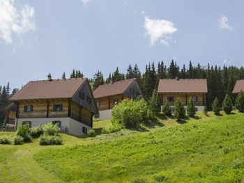 Almhütten Moselebauer - Carinthia  - Austria