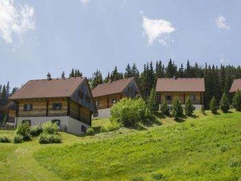 Moselebauer Alm - Carinthia  - Austria