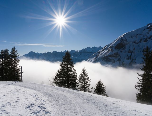 Angebot: Sonnen- & Schneewochen - Parkhotel Burgmühle