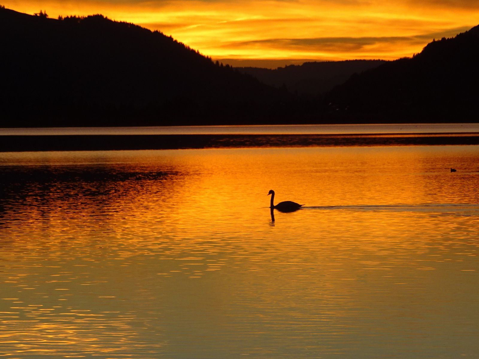 Wellness days "5 days for the price of 4" image 1 - Parkhotel Burgmühle