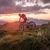 Mountainbikewoche