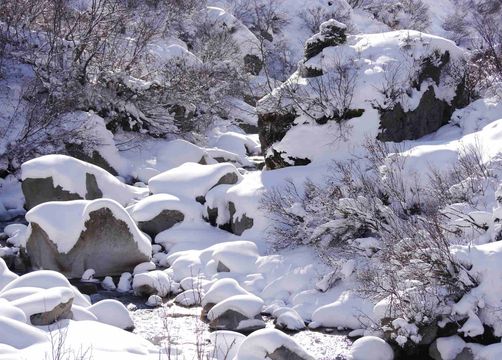 Il silenzio che incanta  - Biohotel Stillebach