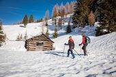 WWW - Winter Wander Wochen