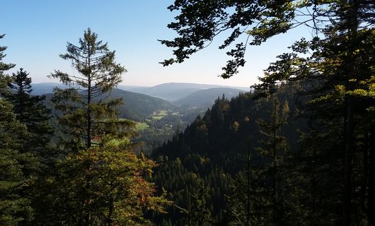 Tannhof-Schnupperle 4=3 