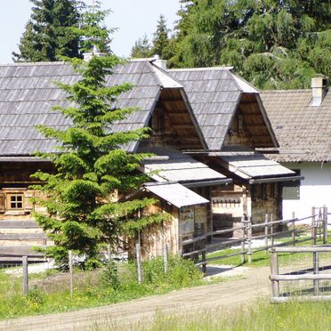 Rueckansicht1, Alpine-Lodges Lisa, Arriach, Kärnten, Kärnten, Österreich