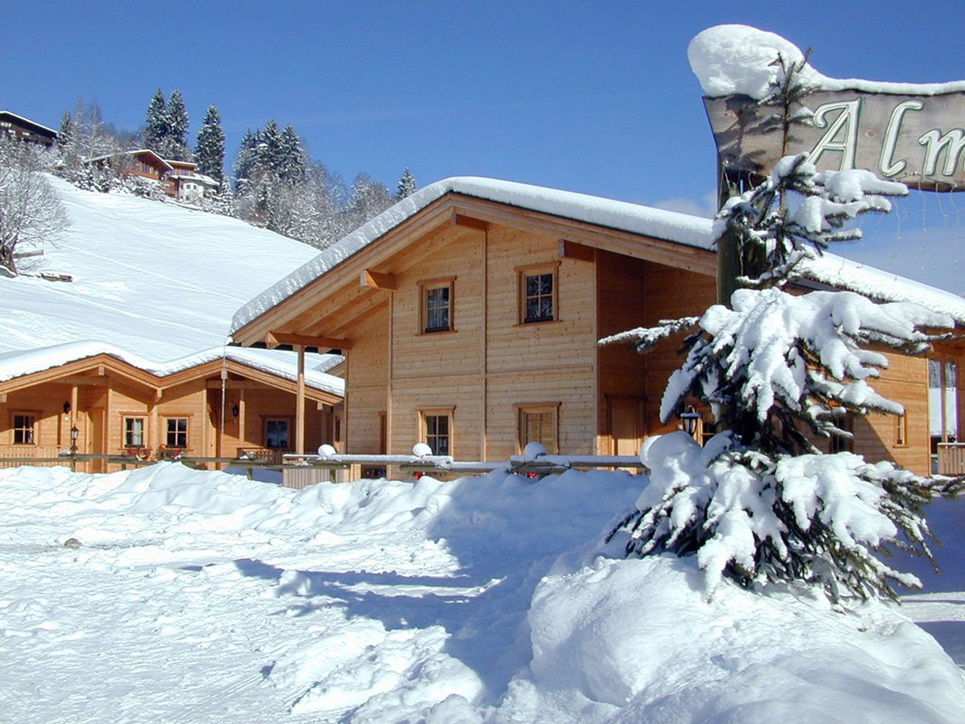 Rent The Almdorf Wildschonau Typ Wildschonau 1 In Wildschonau Niederau Cabins And Chalets In The Alps