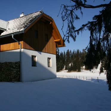 Winter, Hüttendorf Flattnitz - Typ C, Glödnitz, Kärnten, Kärnten, Österreich