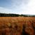November-Bonustage 2026 