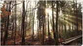 Winter-Frühjahr-Sparwochen 2026