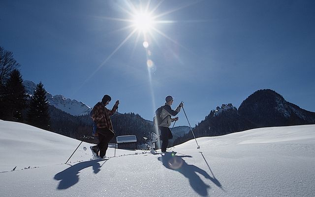 Animal track hike 13/18