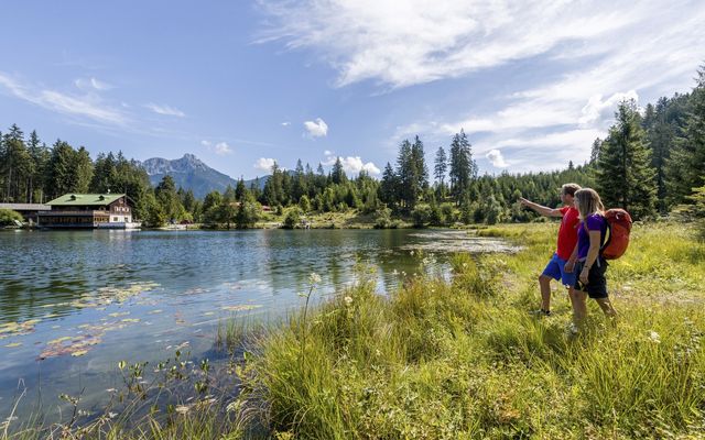 My mountain summer 1/11