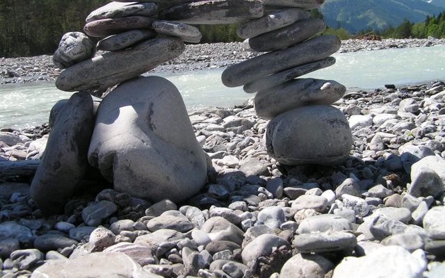 Nature watch - when the lady slippers (Orchid) bloom 8/13