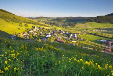 Frühlingserwachen