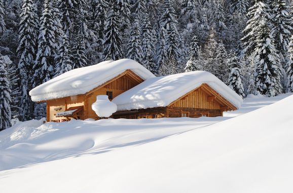 Winter, Loimoarhütte, Bischofshofen, Salzburg, Salzburg, Österreich