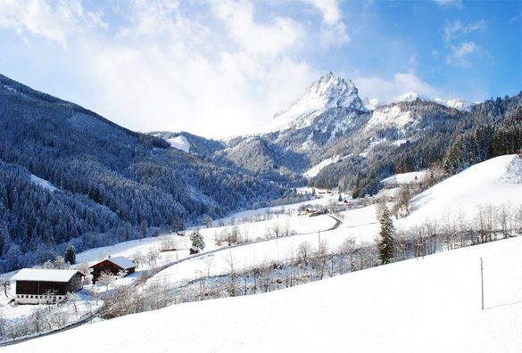 Berghütten, Skihütten, Chalets und Hütten in Bischofshofen mieten