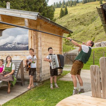 Sommer, Bachalm 2006, Saalbach-Hinterglemm, Salzburg, Salzburg, Österreich