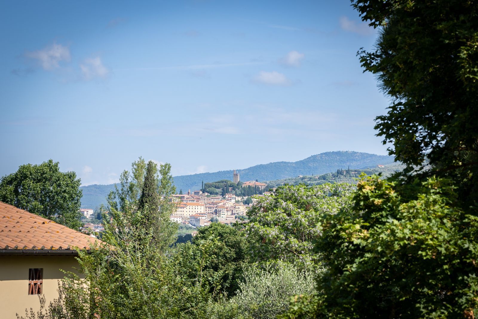 Mimosa image 7 - Agriturismo La Pievuccia