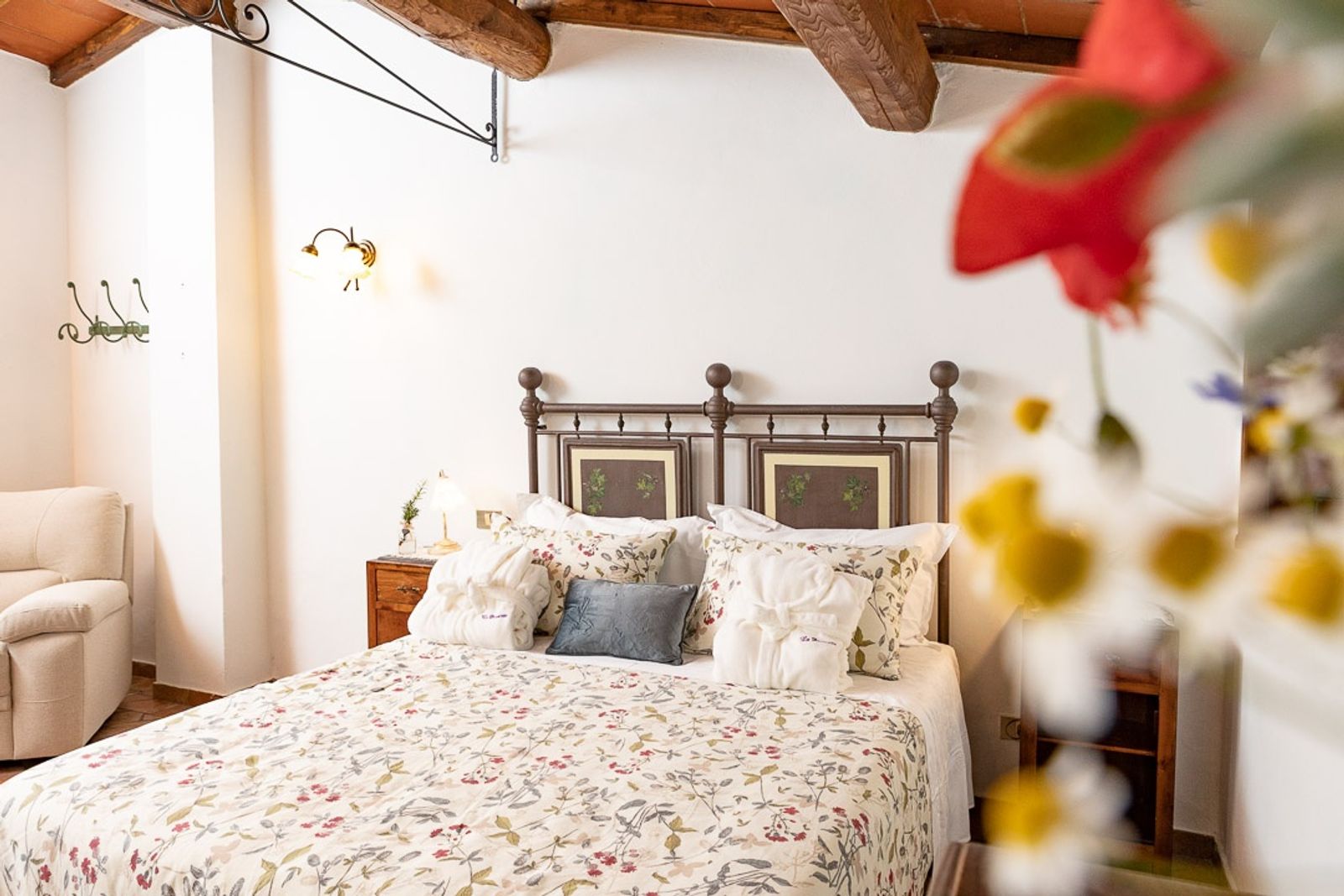 Edera image 2 - Agriturismo La Pievuccia