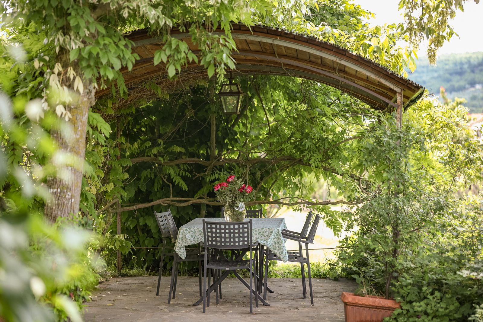 Edera image 6 - Agriturismo La Pievuccia