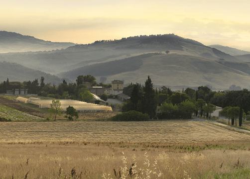 Biohotel Il Cerreto: In mezzo alla natura - Bio-Agriturismo Il Cerreto, Pomarance (Pisa), Toscana, Italia