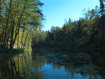 Gut Ottmanach "Schlosshof" - Kärnten - Österreich