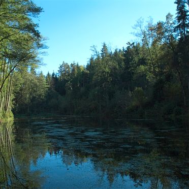 Teich, Gut Ottmanach "Schlosshof", Pischeldorf, Kärnten, Kärnten, Österreich
