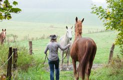 BIO HOTEL Amadeus: Freizeit-Tipp Reiten - Biohotel Amadeus, Schwerin, Ostsee, Mecklenburg-Vorpommern, Deutschland