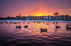 BIO HOTEL Amadeus: Abendstimmung in Schwerin - Biohotel Amadeus, Schwerin, Ostsee, Mecklenburg-Vorpommern, Deutschland