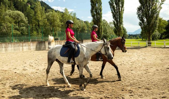 GEMEINSAME REITEINZELSTUNDE (2 ODER 3 PERSONEN)