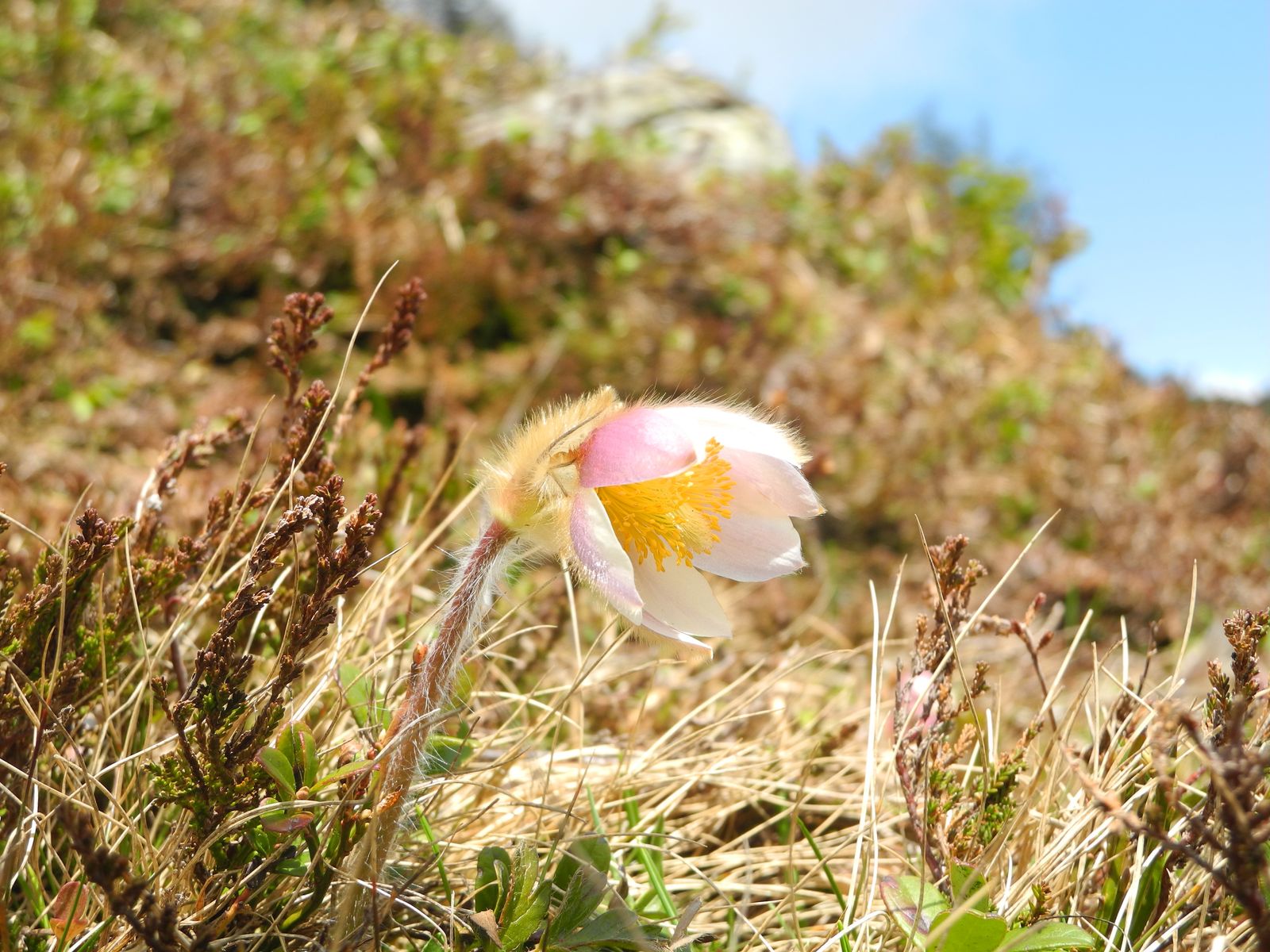 Semaines de randonnée de printemps image 4 - Hotel Lumberger Hof