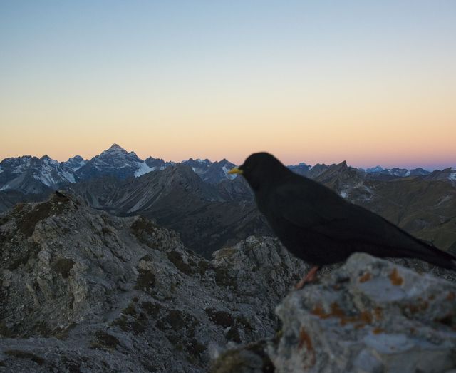Angebot: Der frühe Vogel - Hotel Lumberger Hof