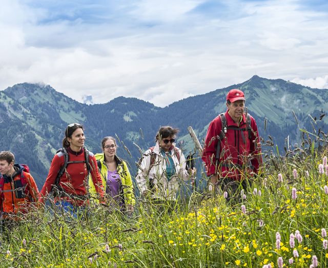 Angebot: Blumenwiesen Wanderzeit 2027 - Hotel Lumberger Hof